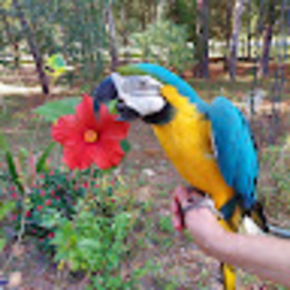 Meet your Posher, Cindy - Picture 1 of 1